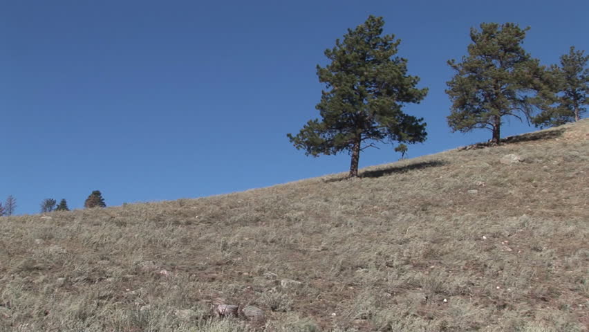 Header of South Dakota
