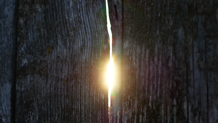 Through the light