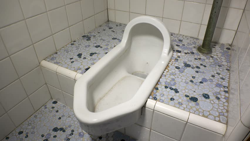 Japanese Toilet Camera