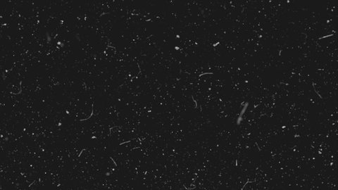 Realistic Dust Particles On Dark Background Stock Footage Video (100%  Royalty-free) 1013069393 | Shutterstock