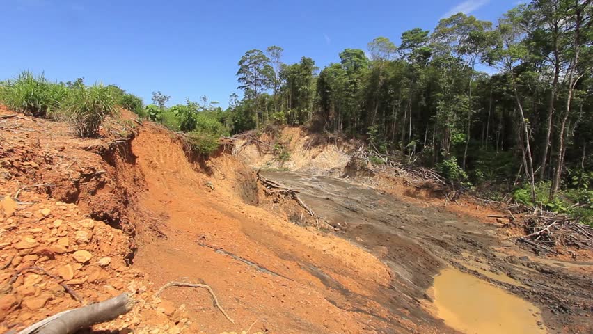 Deforestation - Environmental Damage Due To Destruction Of Rainforest ...