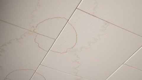 Water Damage And Brown Stains On White Ceiling Tiles In Home Handheld Shot With Stabilized Camera