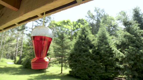 Carved Wooden Feeder Stock Video Footage 4k And Hd Video Clips
