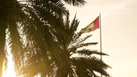 Super slow motion of the United Arab Emirates flag with palm trees golden glow. Sunset light.