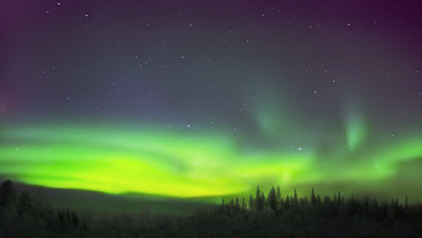 Northern Lights Over Pine Tree Stock Footage Video (100% Royalty-free ...