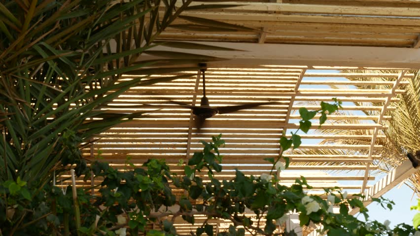 Ceiling Fan In A Wooden Bungalow In The Tropics With Palm Trees