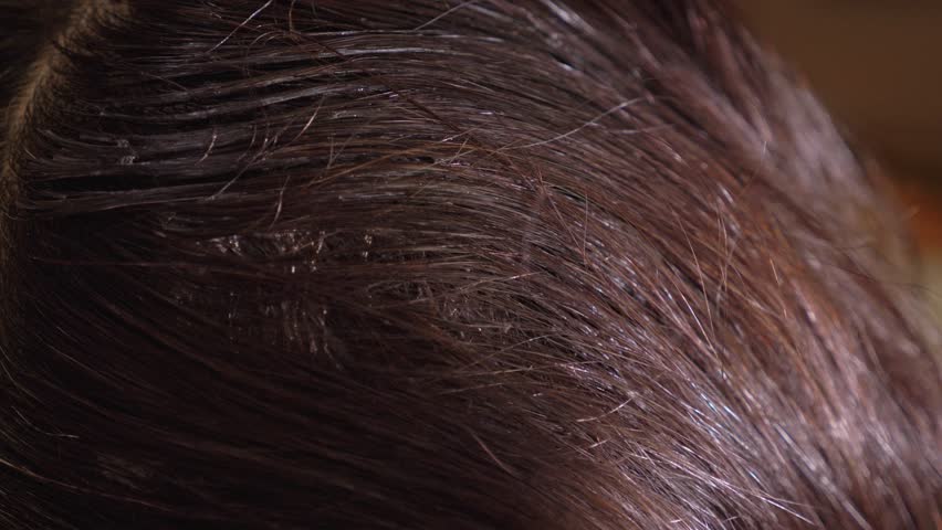Hair Dye Application Hair Stylist Applying Stock Footage Video 100