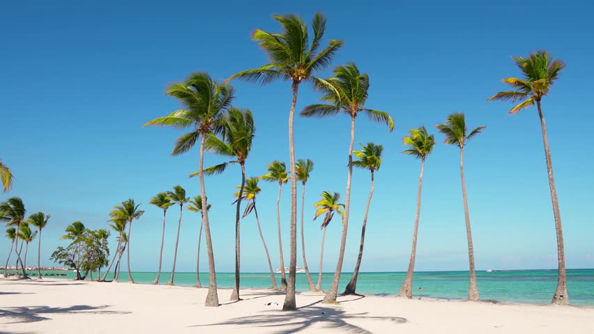 Island beaches palms and sea. Atlantic ocean and sky / Beautiful white wild beach. The best beach in the world. Wildlife Island. Isolated beach and blue ocean. Caribbean turquoise sea water