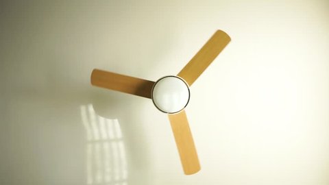 Electric Ceiling Fan Ceiling Fan Indoors