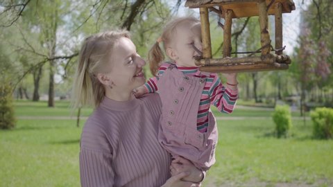 Kids Bird Feeder Stock Video Footage 4k And Hd Video Clips