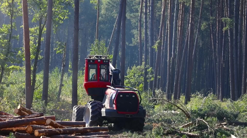 logging logger workflow equipment for stock footage video 100 royalty free 1032399293 shutterstock logger equipment