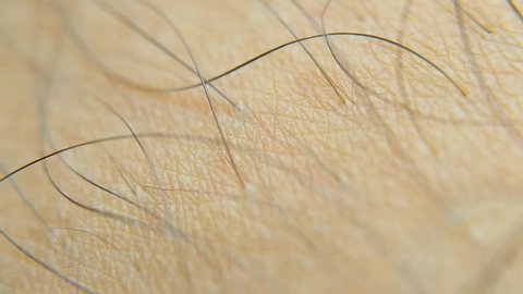 Thin Thick Hair Stock Video Footage 4k And Hd Video Clips