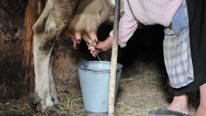 ����� ���� ������� �������� ������ � pic 2