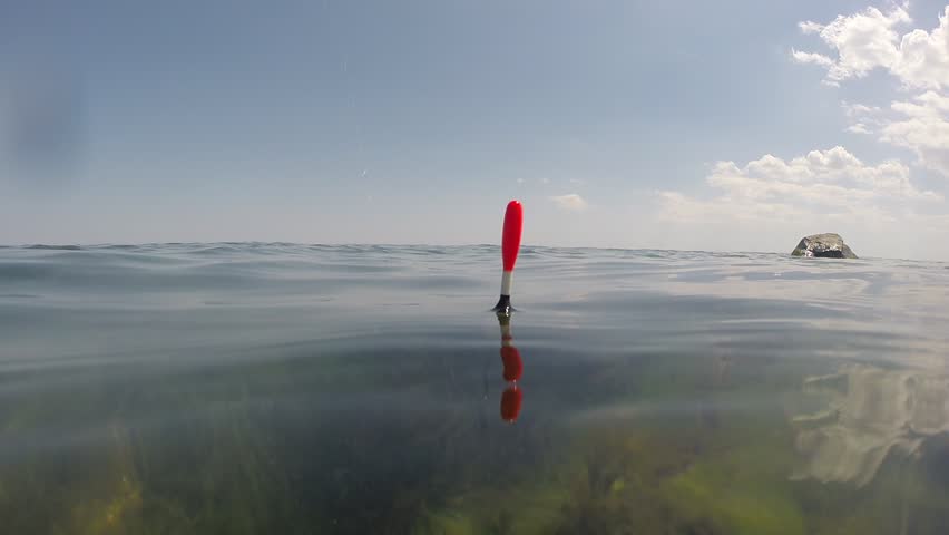 Header of bobber
