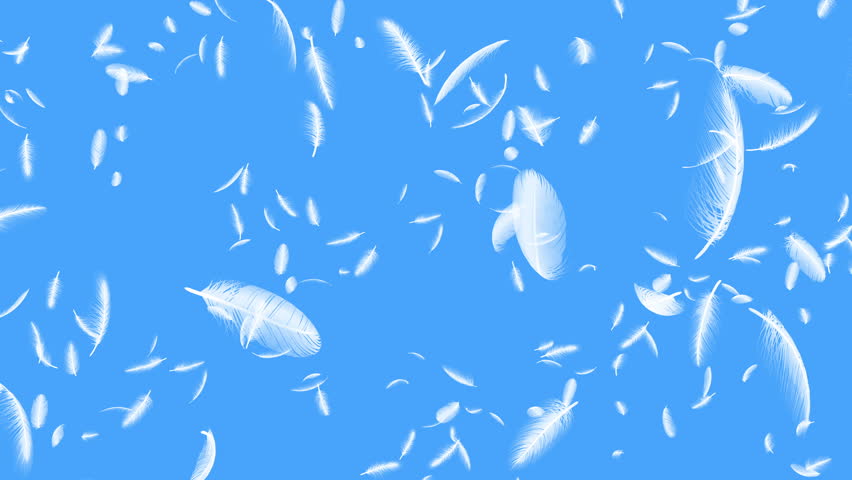 Feather In The Wind. Stock Footage Video 10850051 | Shutterstock