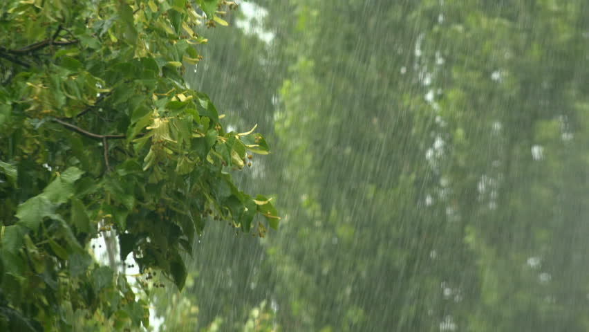 Rain Showers Weather Rain Showers Weather