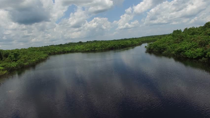 Amazon River Stock Footage Video | Shutterstock