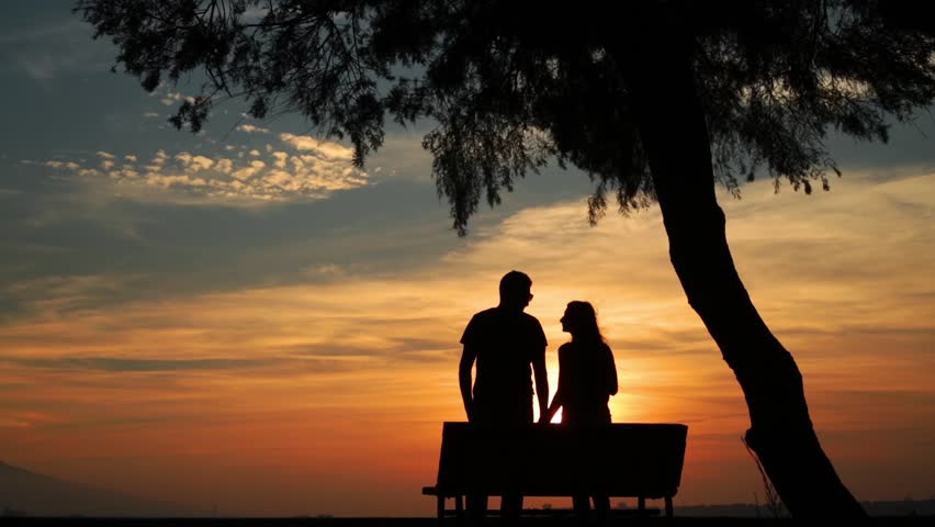 Silhouette Of Man & Woman Walking Into Sunset Stock Footage Video 82681 ...