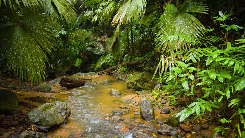 The Power Of The Tropical River In Africa. Equator. Equatorial Guinea ...