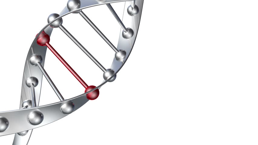 Stock Video Clip of The structure of the looped DNA rotates | Shutterstock