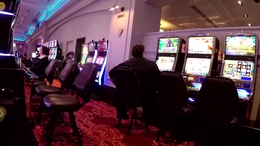 tunicams casinos