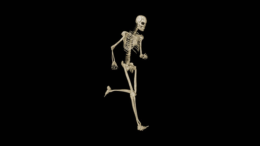 A Skeleton Running Fast. Loops. Stock Footage Video 2607380 | Shutterstock