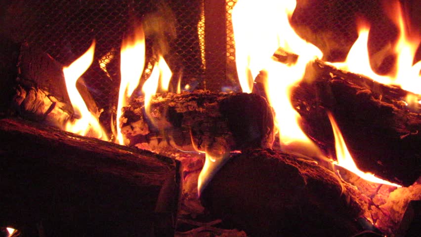 Pinon Pine Wood Burns As Stock Footage Video 100 Royalty Free
