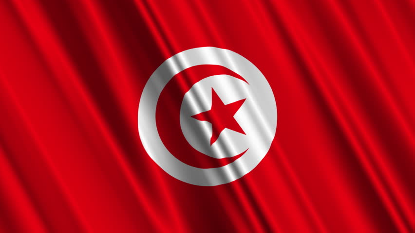 Stock video of tunisia flag loop 1 | 1371043 | Shutterstock