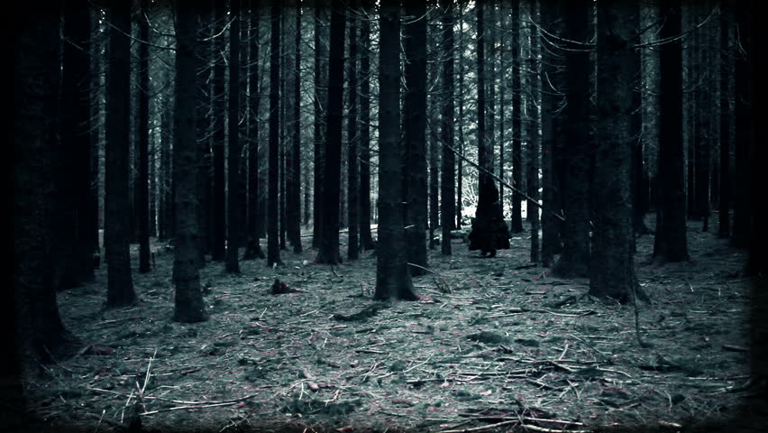 Steadicam Shot Through Dark Creepy Forest Stock Footage Video 2969137 ...