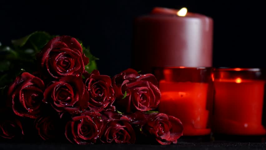 Valentines Day Romantic Red Roses Stock Footage Video 100