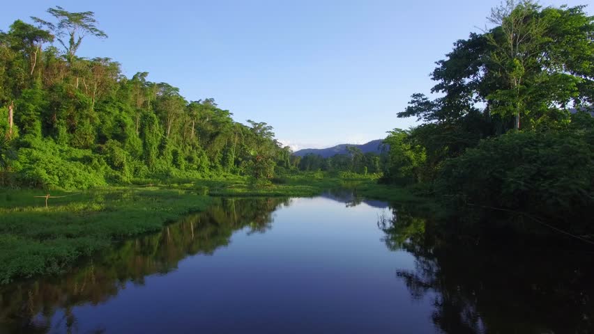 Amazon River Stock Footage Video | Shutterstock