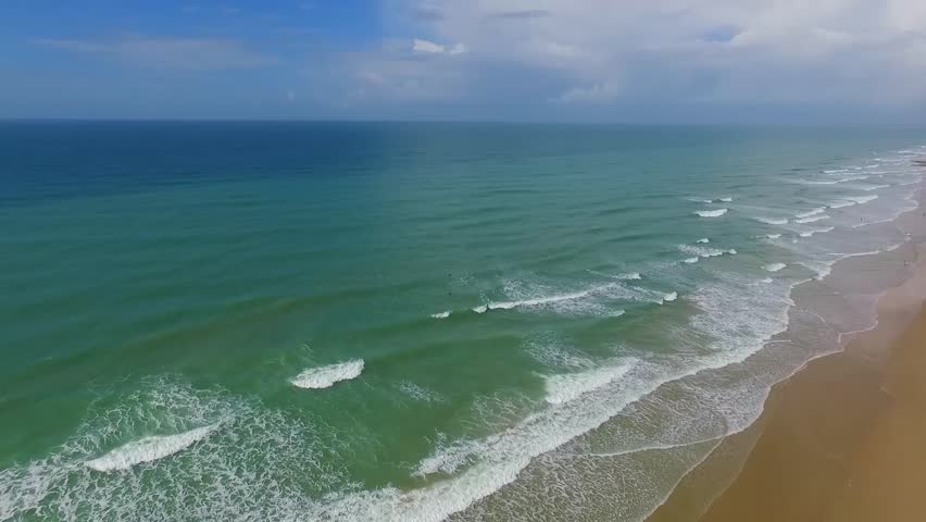 Header of palmar