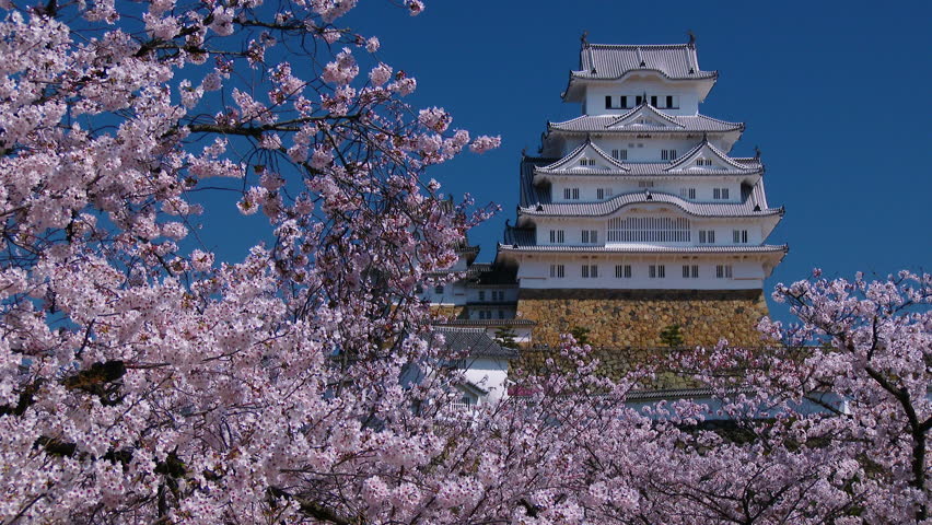 Himeji Castle and Cherry Blossom, Stock Footage Video (100% Royalty