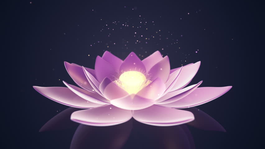 Animation of Rotation Lotus with Stock Footage Video (100