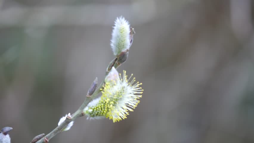 vapaa uusi Läkkäämpi porno