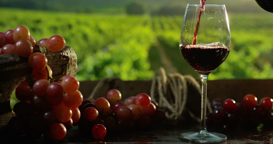 Sommelier In Wineyard Pouring Italian Stock Footage Video 100