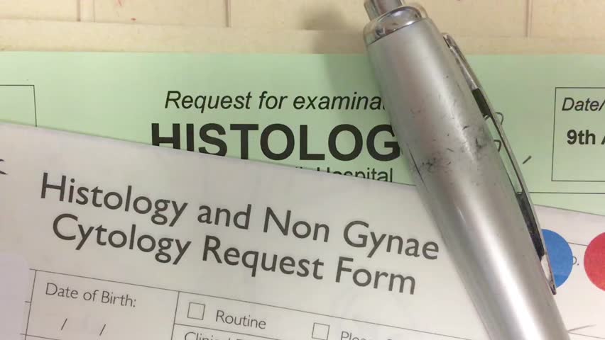 Header of histopathology
