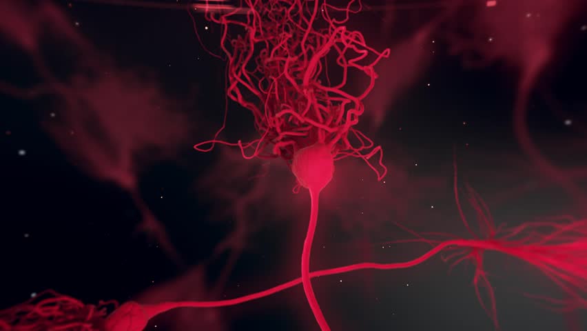 красные нейроны