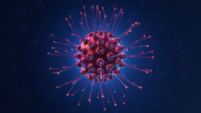 Bacteria Cells Science 3d. This Image May Be Used To ... anthrax bacteria diagram 