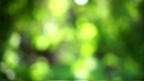 Blurred Nature Background Stock Footage Video (100% Royalty-free) 17595793  | Shutterstock