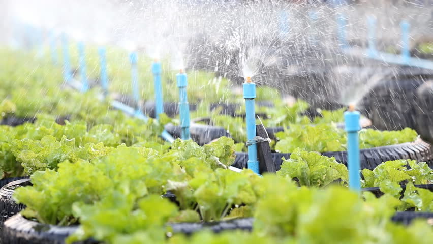 Water Irrigation System For Garden Mycoffeepot Org