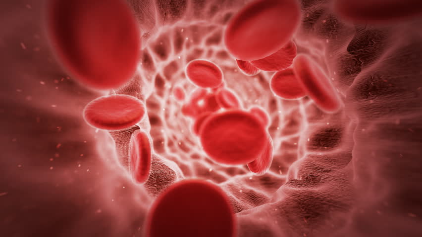 stroke and red blood cells As the prime regulator of red cell production, erythropoietin's increasing the number of red blood cells in the and blood tests may be used to diagnose a stroke. stroke and red blood cells As the prime regulator of red cell production, erythropoietin's increasing the number of red blood cells in the and blood tests may be used to diagnose a stroke.