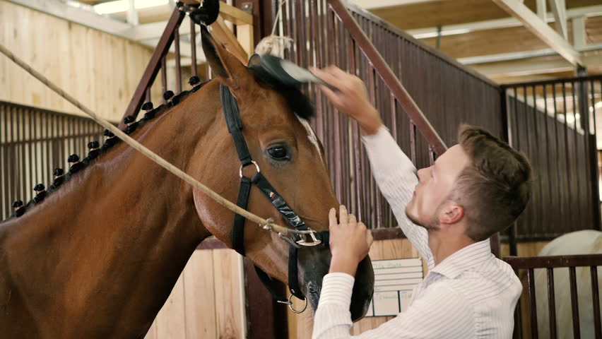 Header of fetlock