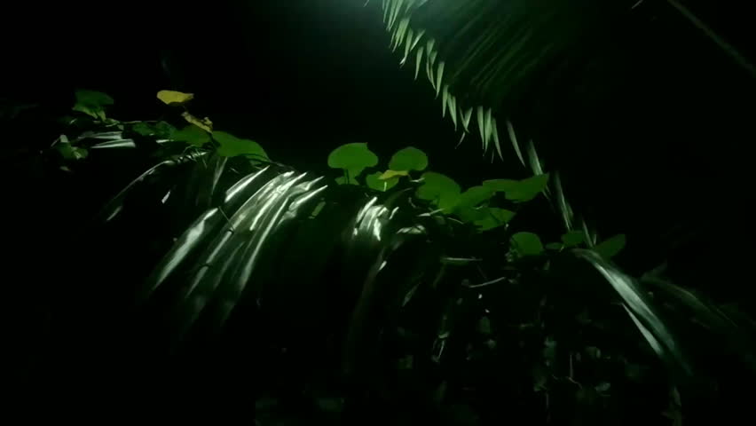 Header of entangle