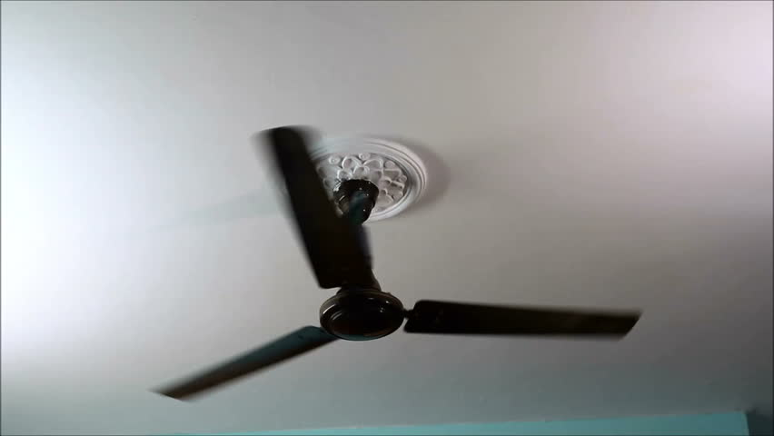 Pigeon Is Sitting And Swinging Stock Footage 100 Royalty Pigeon Is Sitting And Swinging On A Ceiling Fan In Room Alone