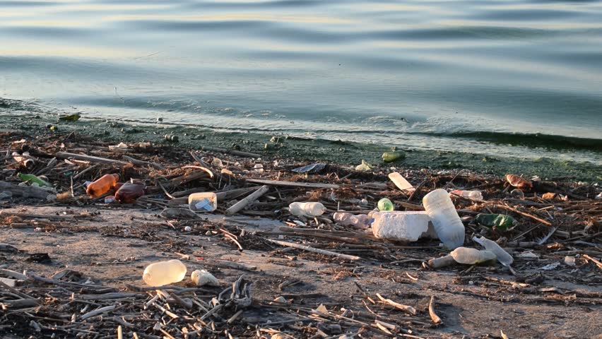 the issue of shoreline pollution Fixed-cost guarantees, at reinsurance cost, for our shipowner members to obtain a certificate of financial responsibility (cofr) to enter us waters. the issue of shoreline pollution Fixed-cost guarantees, at reinsurance cost, for our shipowner members to obtain a certificate of financial responsibility (cofr) to enter us waters.