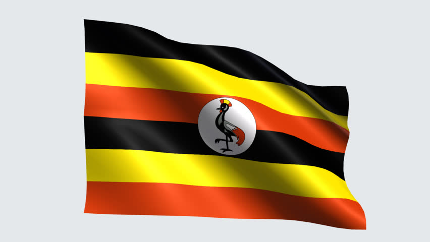 Uganda Close Up Waving Flag - HD Loop Stock Footage Video 1185202 ...