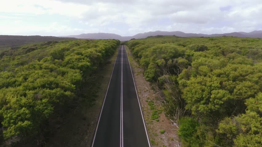Header of either