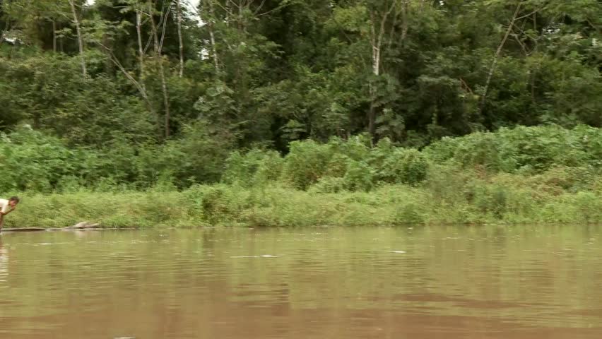 Amazon River Stock Footage Video | Shutterstock