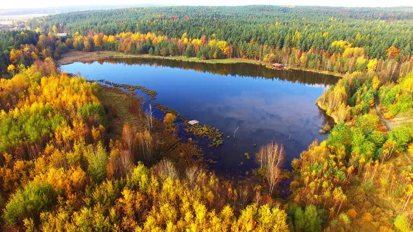 Camera Flight Over A Trout Lake. Colorful Autumn In Slavkovsky Les ...